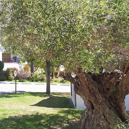 Del Parque Flats Le Village Golf Marbella